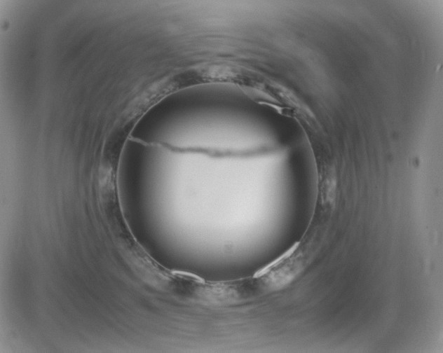 X0000081630521200701151428