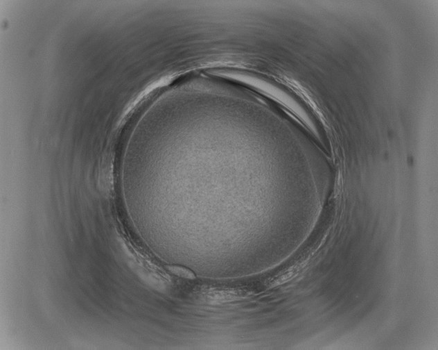 X0000081630531200701151427