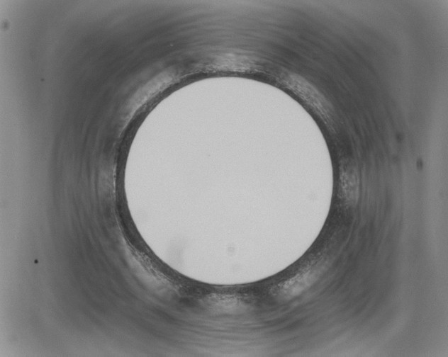 X0000081630534200701151427