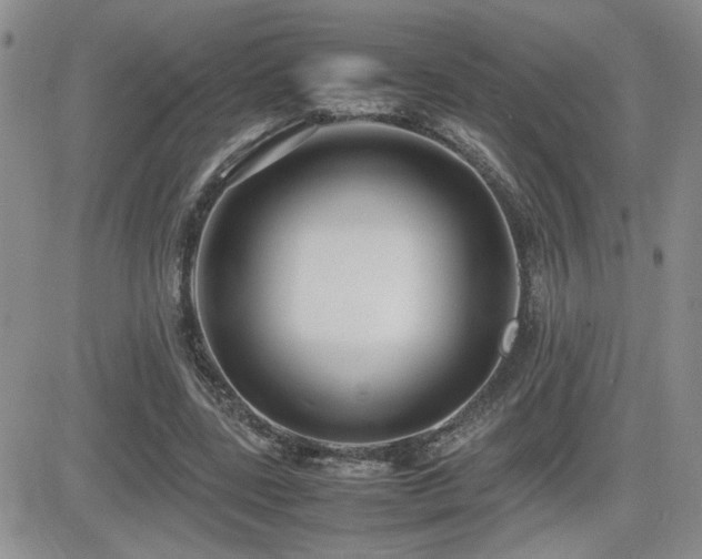X0000081630539200701151427