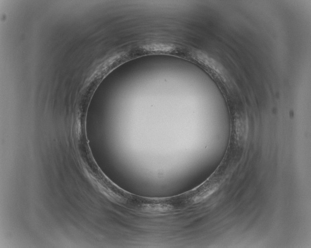 X0000081630541200701151427