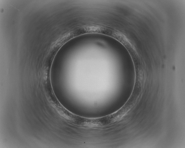 X0000081630545200701151427