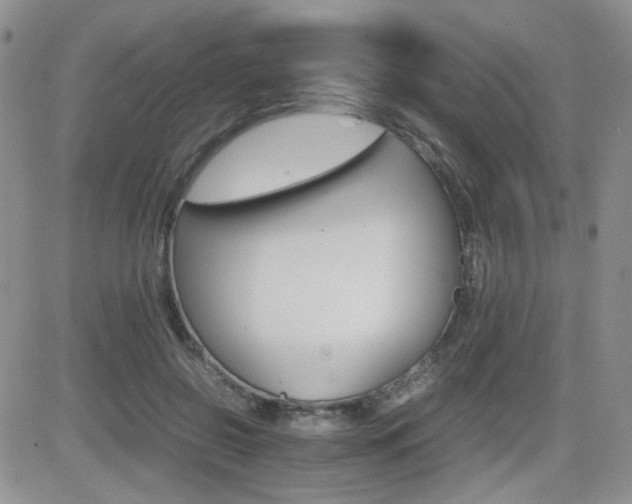 X0000081630550200701151428