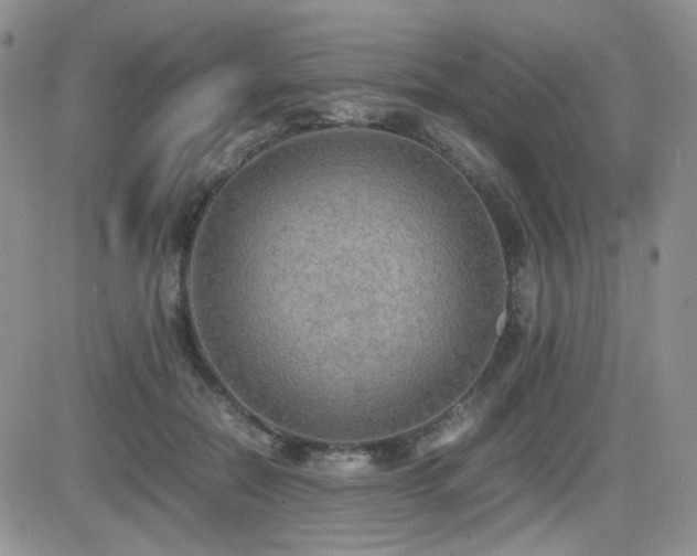 X0000081630554200701151428