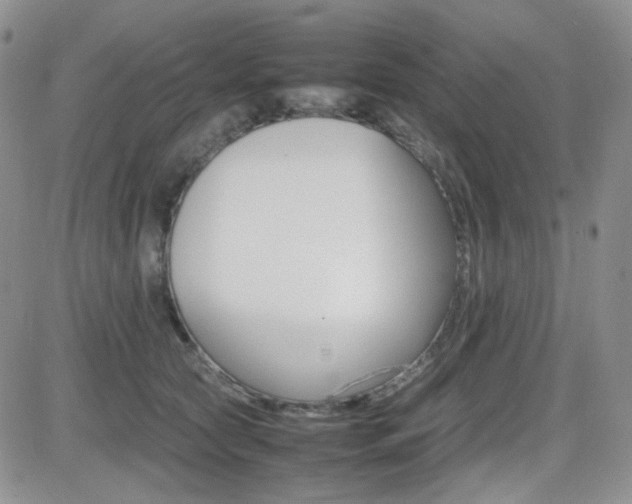 X0000081630561200701151428