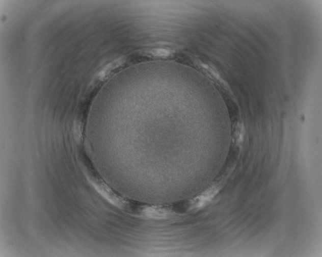 X0000081630568200701151428
