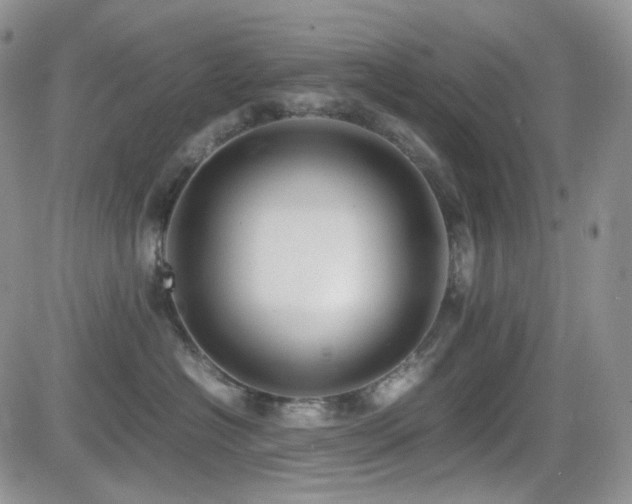 X0000081630574200701151428