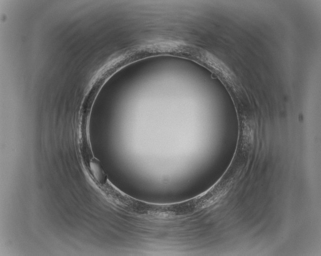 X0000081630582200701151427