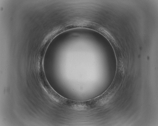 X0000081630586200701151427