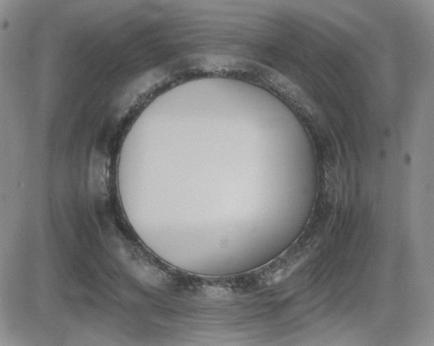 X0000081630592200701151427
