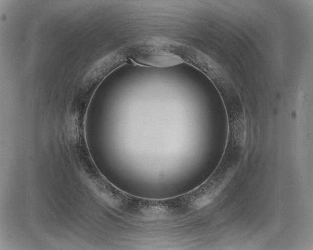 X0000081630594200701151427