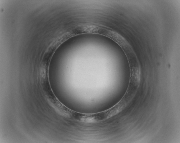 X0000081630602200701151427