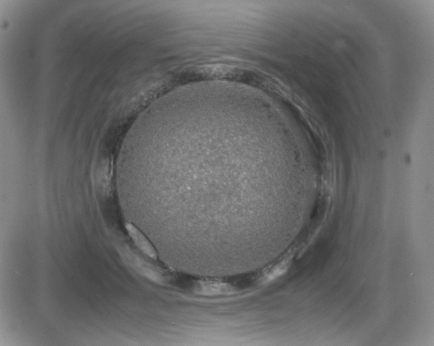 X0000081630605200701151427