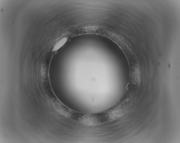 X0000081630608200701151427