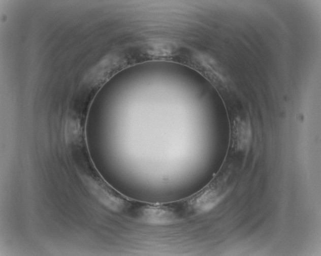 X0000081630614200701151427