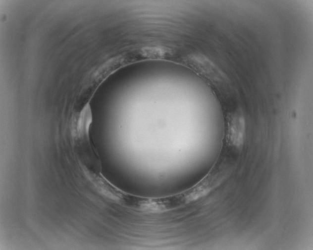 X0000081630616200701151427