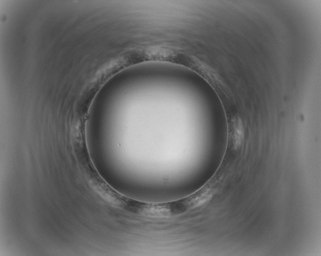 X0000081630619200701151426