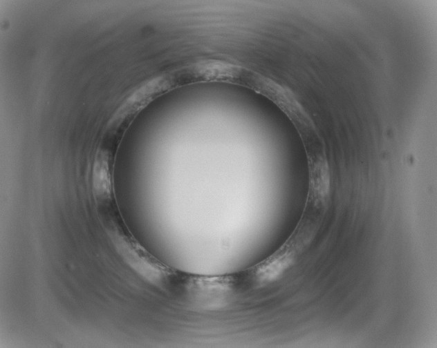 X0000081630622200701151426
