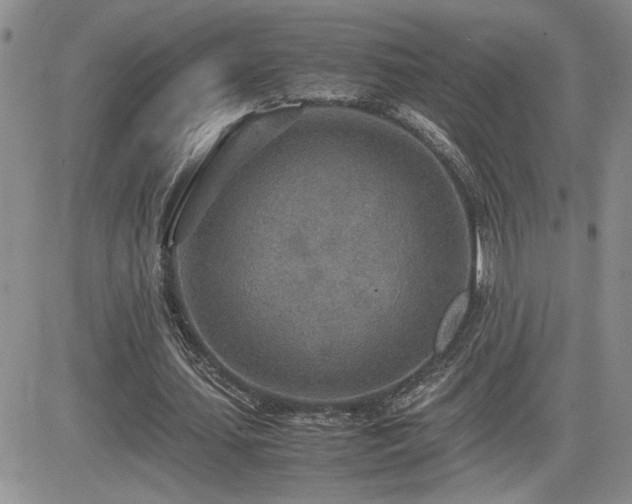X0000081630627200701151426
