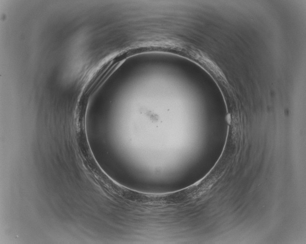 X0000081630628200701151426