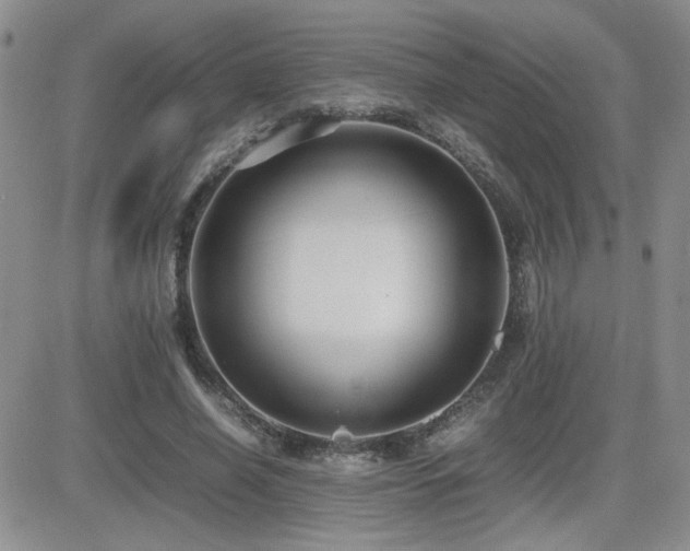 X0000081630638200701151426