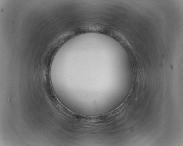 X0000081630643200701151426