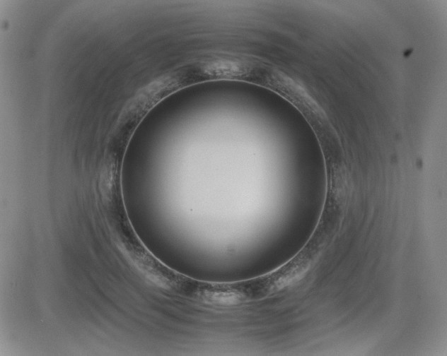 X0000081630645200701151426