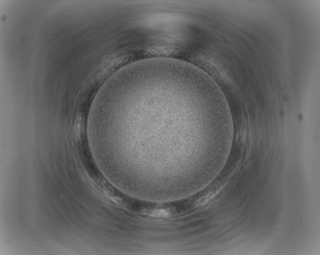X0000081630647200701151426