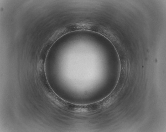 X0000081630649200701151426