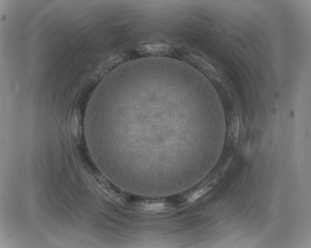X0000081630651200701151426