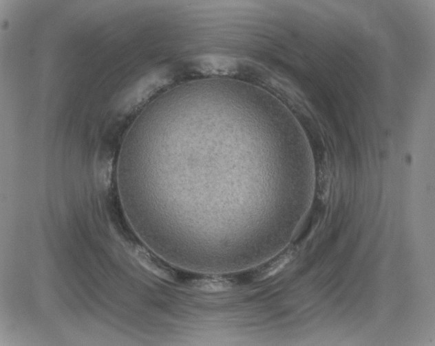 X0000081630652200701151426