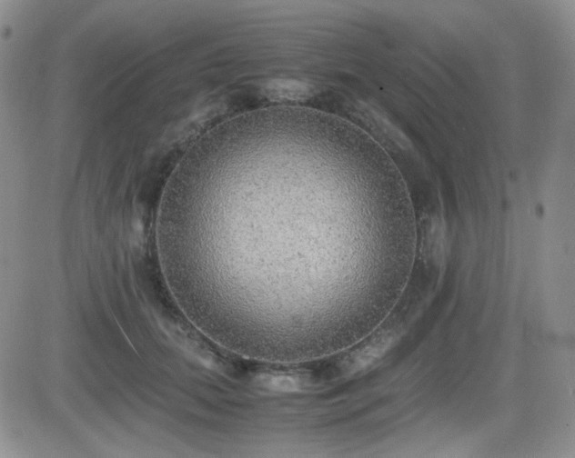 X0000081630655200701151426