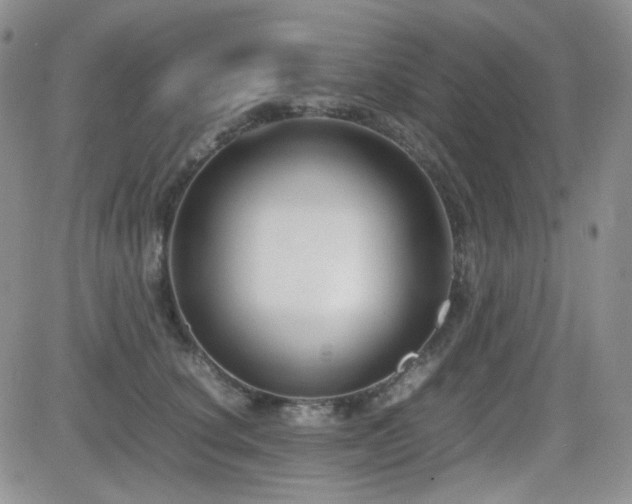 X0000081630660200701151426