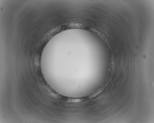 X0000081630665200701151426