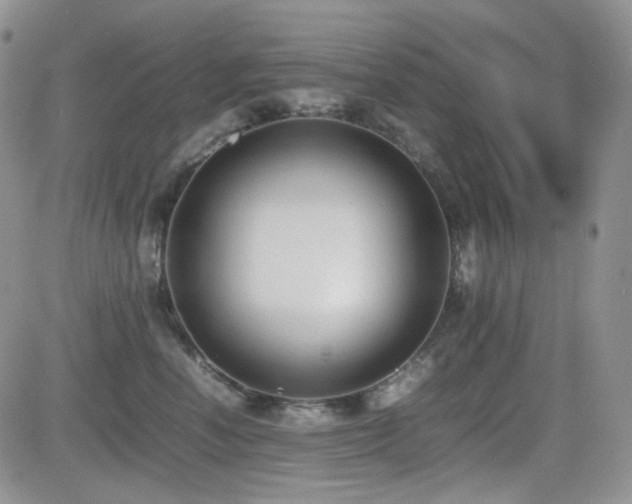X0000081630666200701151426