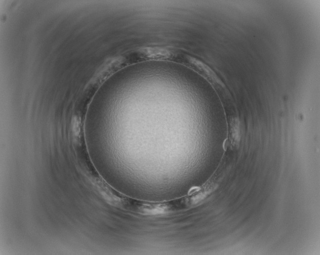 X0000081630667200701151426