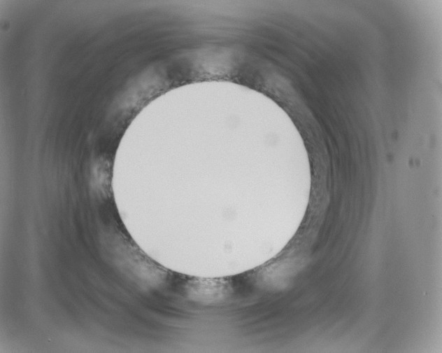 X0000081630672200701151426