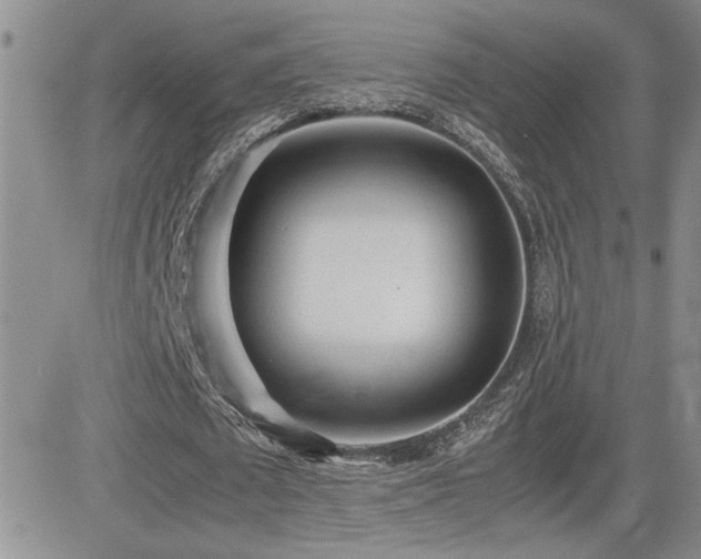 X0000081630673200701151426