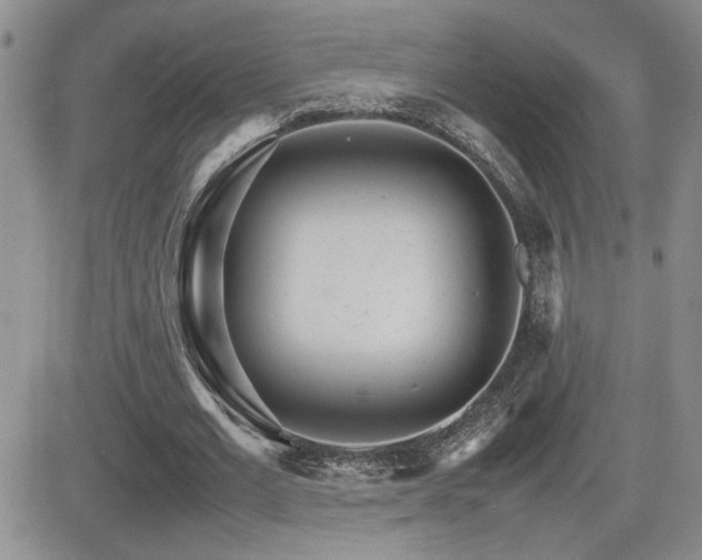 X0000081630677200701151426
