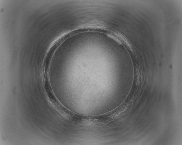 X0000081630680200701151425