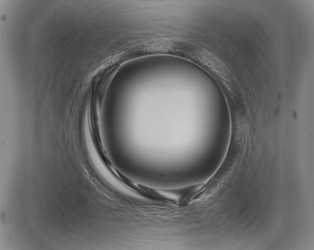 X0000081630681200701151425