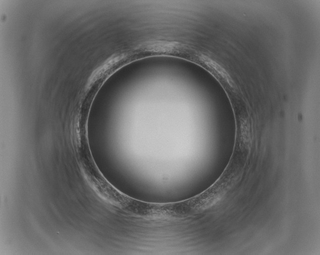 X0000081630682200701151425