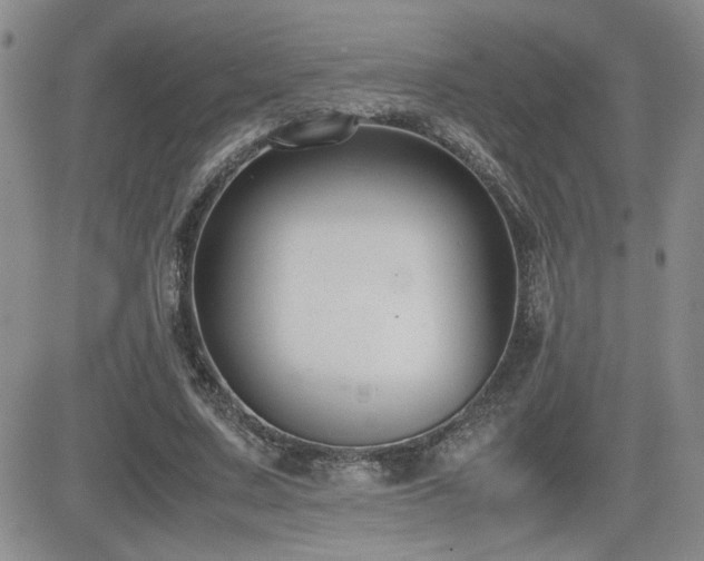 X0000081630683200701151425