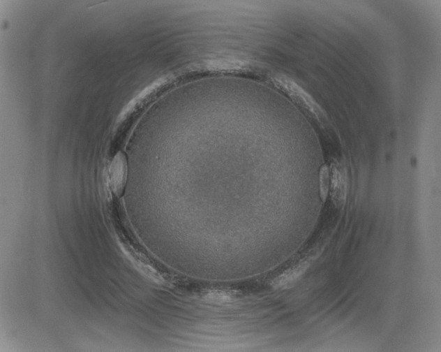 X0000081630684200701151425