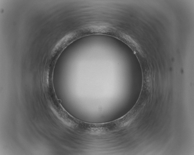 X0000081630686200701151425