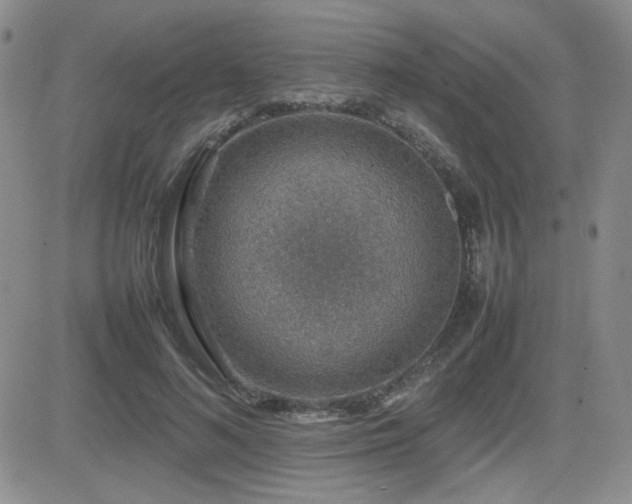 X0000081630692200701151425