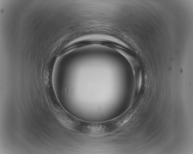X0000081630693200701151425