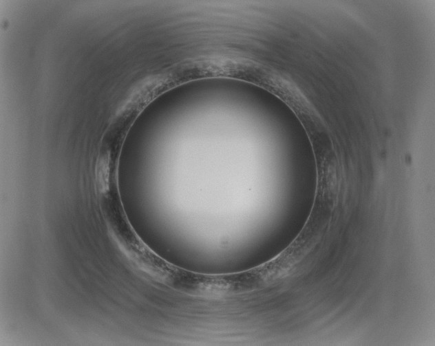 X0000081630694200701151425