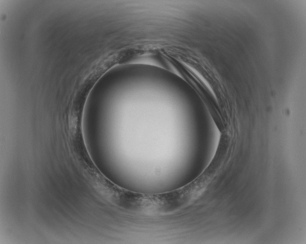 X0000081630697200701151425