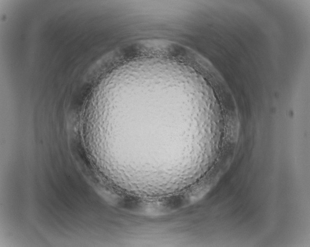 X0000081630701200701151425